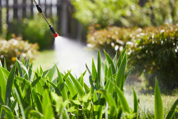 Tamper-Resistant Bait Stations for Rodents in Weatherford