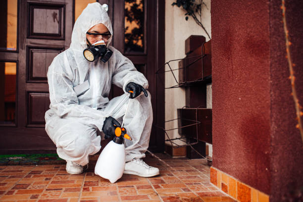 Attic and Crawl Space Rodent Treatment in Weatherford